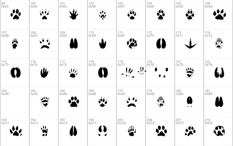 AnimalTracks Regular