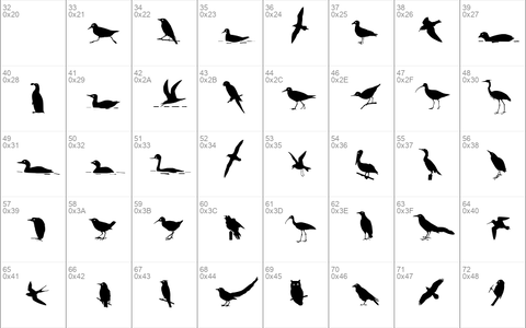 Bird Silhouettes Regular