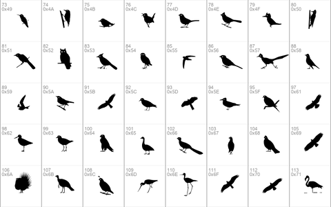 Bird Silhouettes Regular