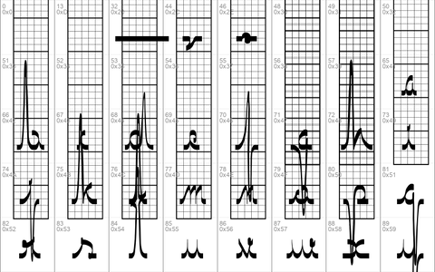 ECG saji ECG saji