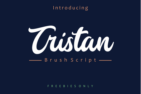 Tristan Script font