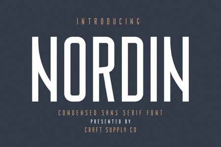 Nordin Free font