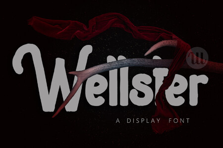 Wellster font