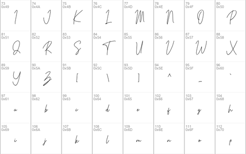 Parachute Signature Regular