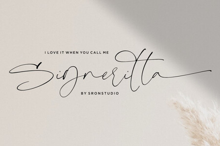 Signeritta font