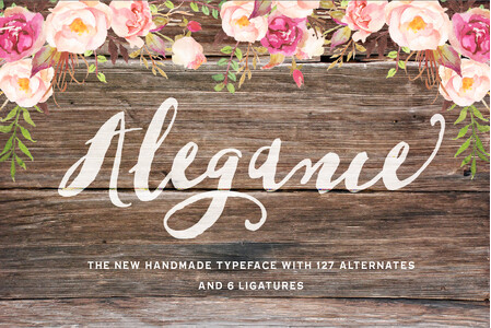 Alegance font