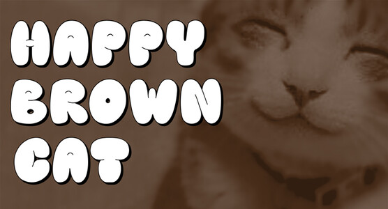 Happy brown cat font