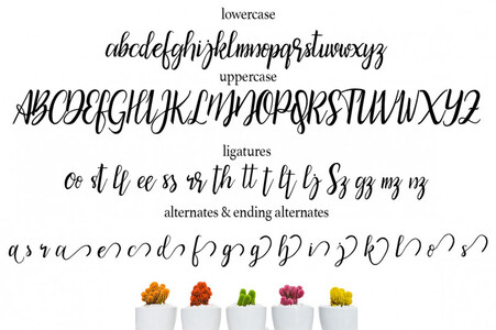 bicillesta font