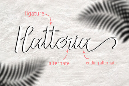 bicillesta font