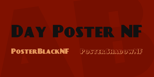 Day Poster Black NF font
