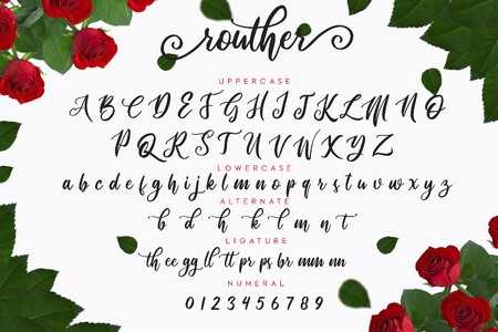 routher font