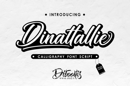 Dinattallie Personal Use Only font