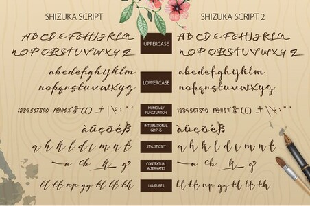 Shizuka Script font
