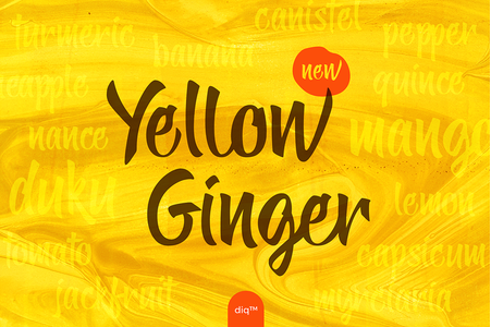 Yellow Ginger font