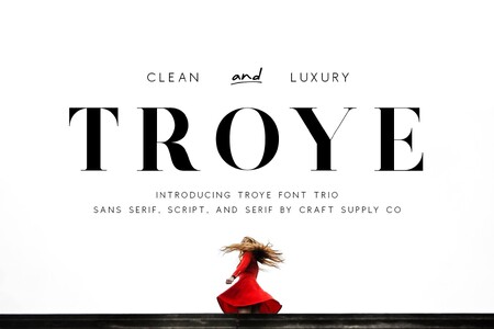 Troye Free Serif font
