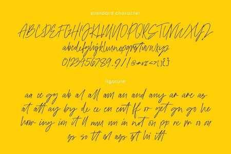 theraphiest font