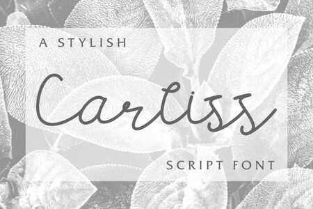 Carllis DEMO font