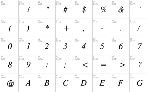 CG Times Italic