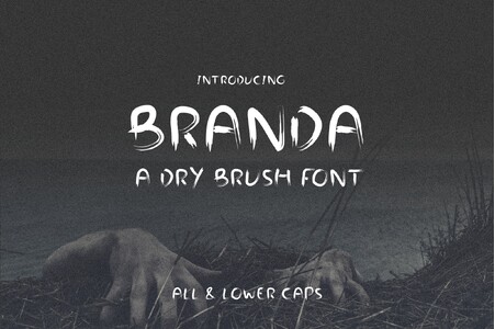 Branda font