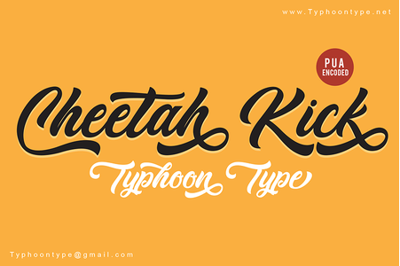 Cheetah Kick - Personal Use font