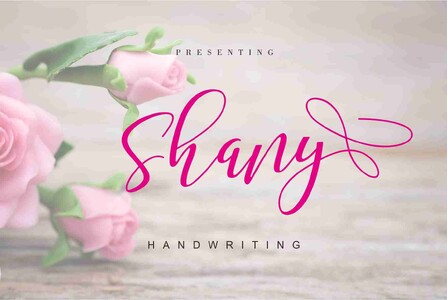 Shany font