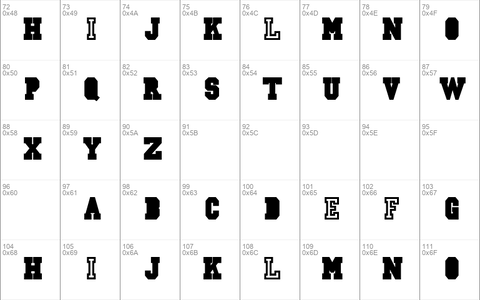 CSD-JERSEY-Normal Regular