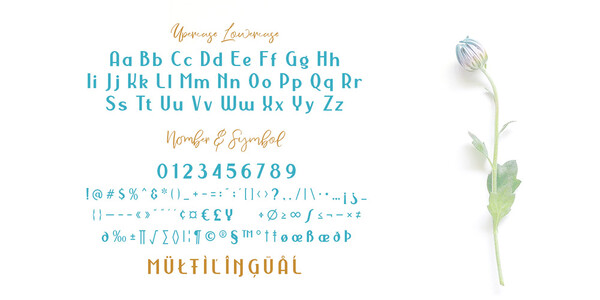Nermola Script font