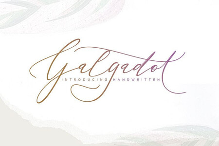 galgadot font