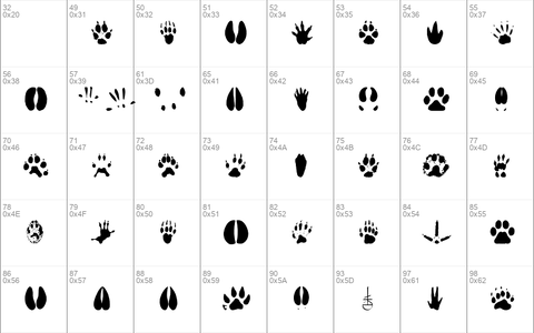 AnimalTracks Regular