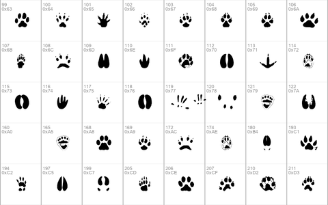 AnimalTracks Regular