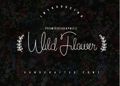 Wild Flower Bold font