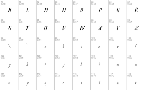 Salvat Study Regular