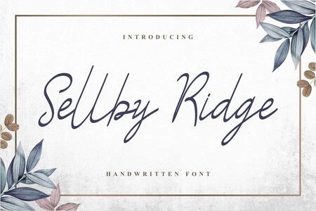 Sellby Ridge Demo font