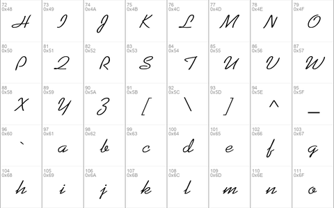 Kaufmann-Normal Wd Regular