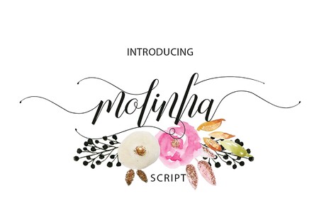 Molinha font