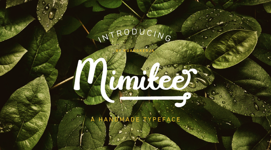 Mimitee Demo font