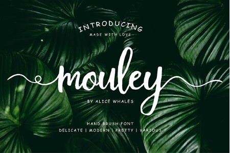 Mouley font