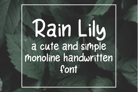 Rain Lily font