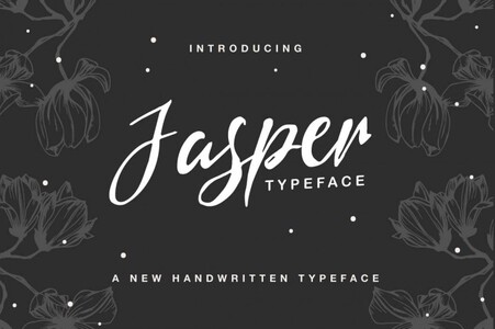 Jasper Typeface font