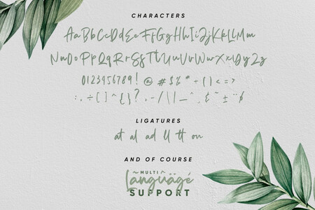 Aedesty font