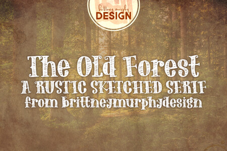 The Old Forest font