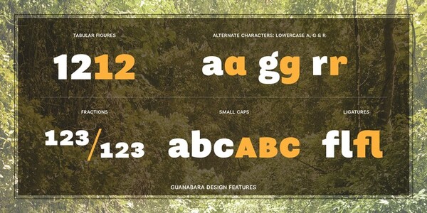 Guanabara Sans   6 font
