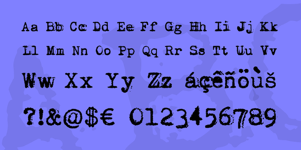 Vera Type font