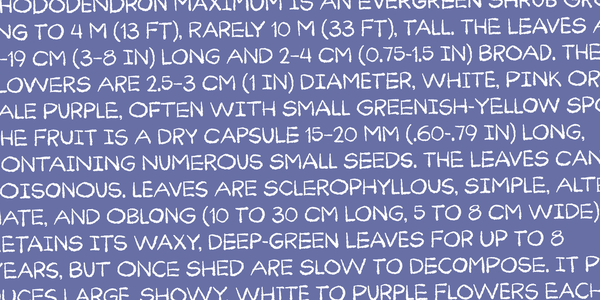 Curiousness DEMO font