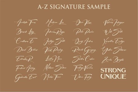 Signatrue font