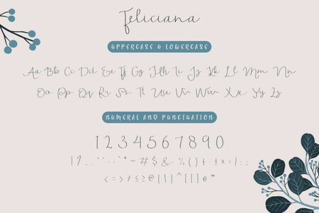 Feliciana Demo font