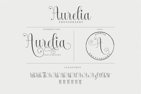 Armadilla font