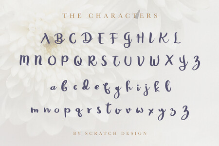 Rheydo font