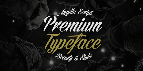Angilla Script PERSONAL USE font