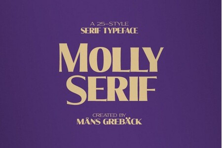 Molly Serif C PERSONAL font